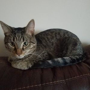 Meet your Posher, Kelly